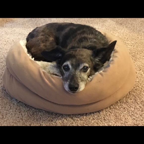 Meet your Posher, Cheryl - Picture 2 of 2